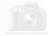 Viper CT 4ZJ27 (4 датчика белый)  - 1